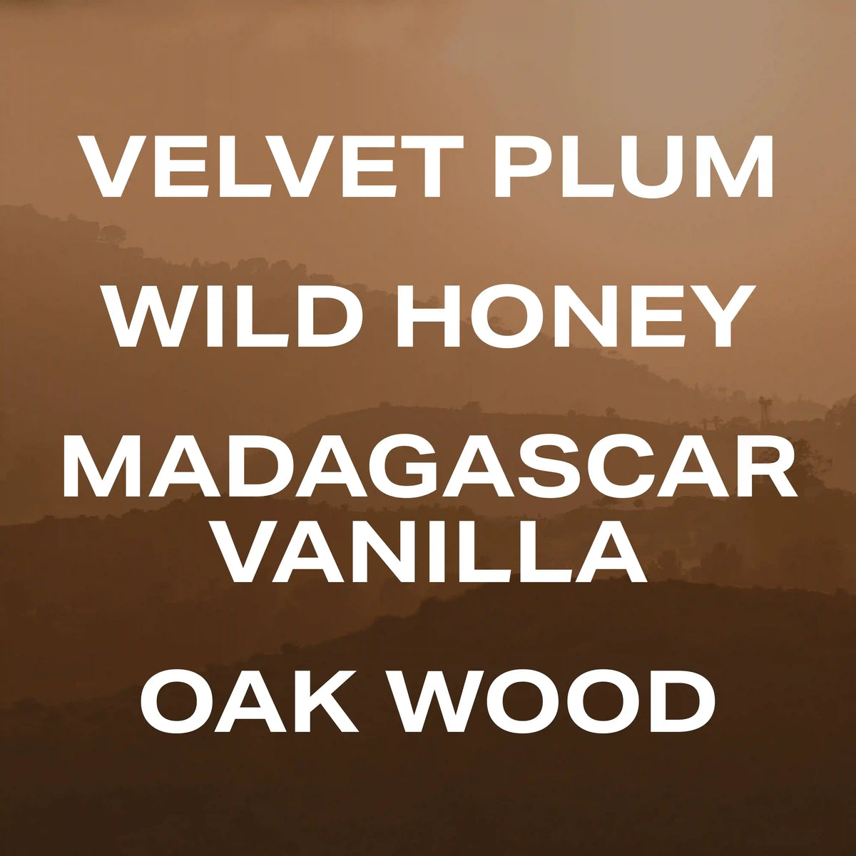 Vanilla Canyon - 50mL